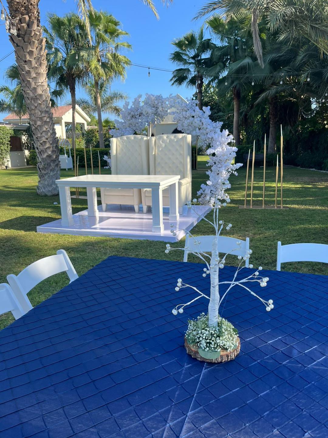 Paquetes para quince años
